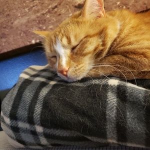 Meet your Posher, Laura